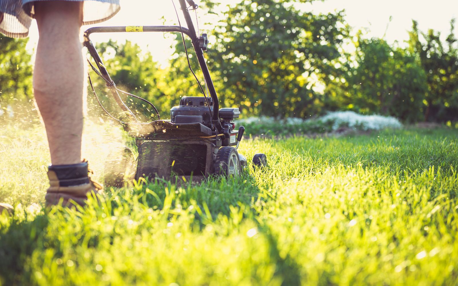 Lawn Care & Mowing